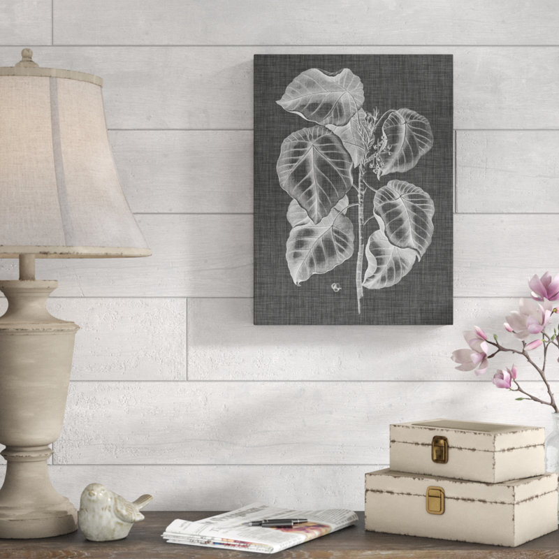 «Graphic Foliage IV» par Vision Studio - reproduction de dessin sur toile, H 19 po x l 14 po x P 2 po
