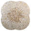 Dayzie Manufactured Wood Accent Stool