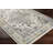 Holdingford Oriental Indoor Rug-773705012