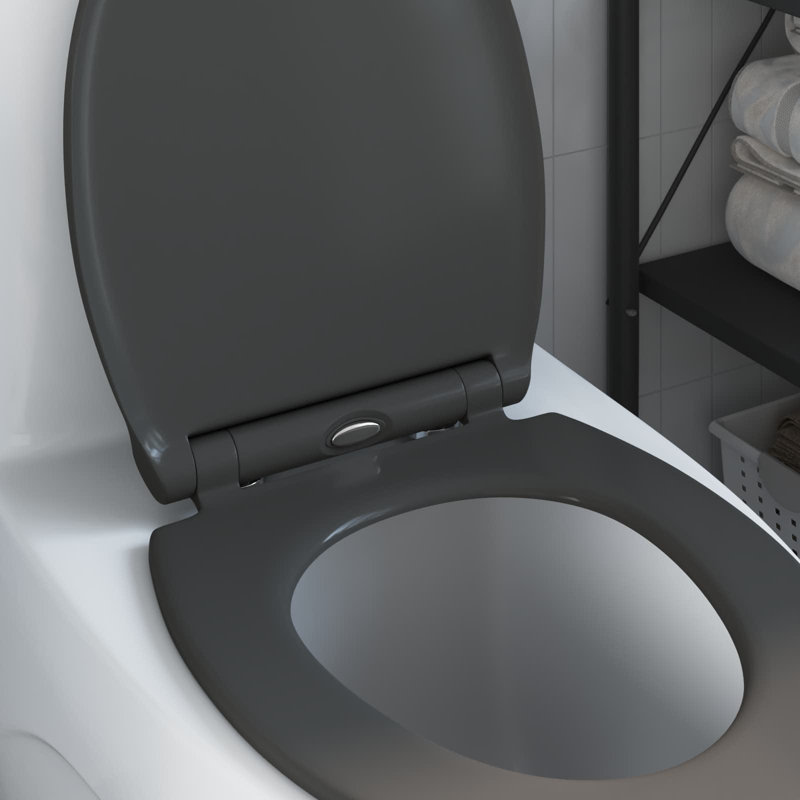 Anthracite Plastic Standard Adjustable Armrests Toilet Seat, Anthracite