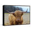 Highland Roamer by Marmont Hill - Painting-1618017307-1618017305