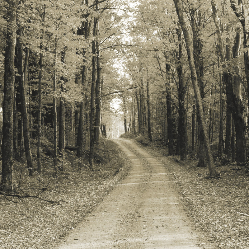 Vermont Country Road - sépia, H 20 po x l 20 po x P 1,25 po