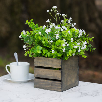 Herbe d'eucalyptus artificiel 10 po en pot