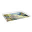 Venu Sandcupid Yellow Blue Acrylic Rectangle Decorative Tray-135965873