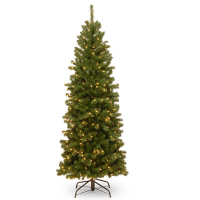  North Valley Spruce Pencil Slim Tree with Clear Lights