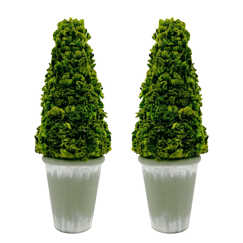 Paire de plantes topiaires en pot de 17 po