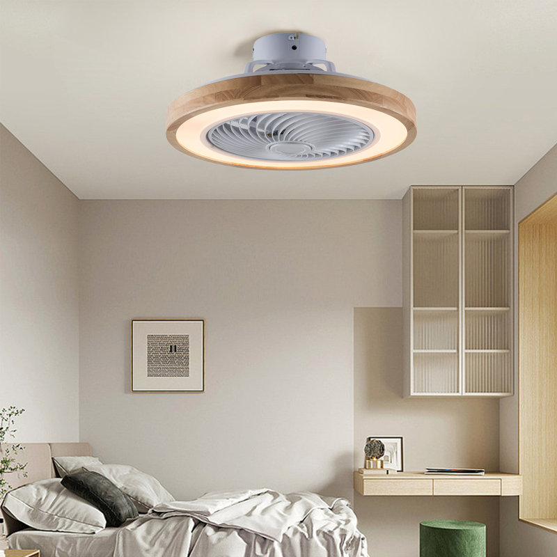 Riemy 20'' Ceiling Fan with LED Lights