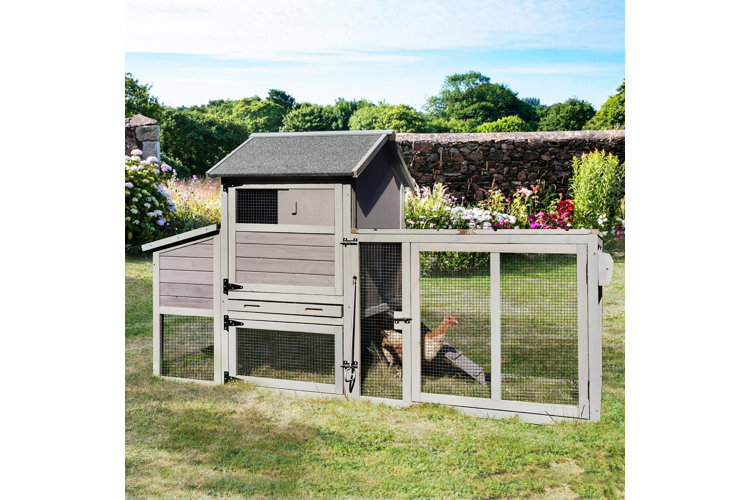 gray chicken coop with run out in large backyard