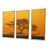 Gold Floater Framed