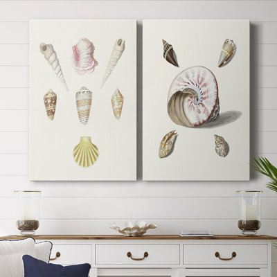Pastel Knorr Shells I-Premium Gallery Wrapped Canvas -Ready to Hang