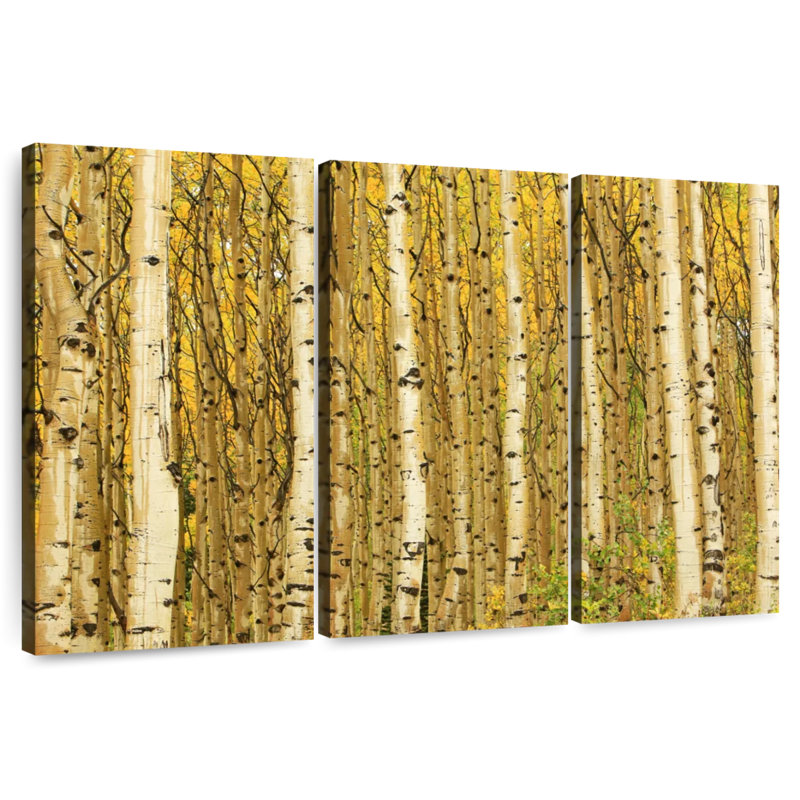 Alvord Golden Aspen Forest, 20" H x 33" W