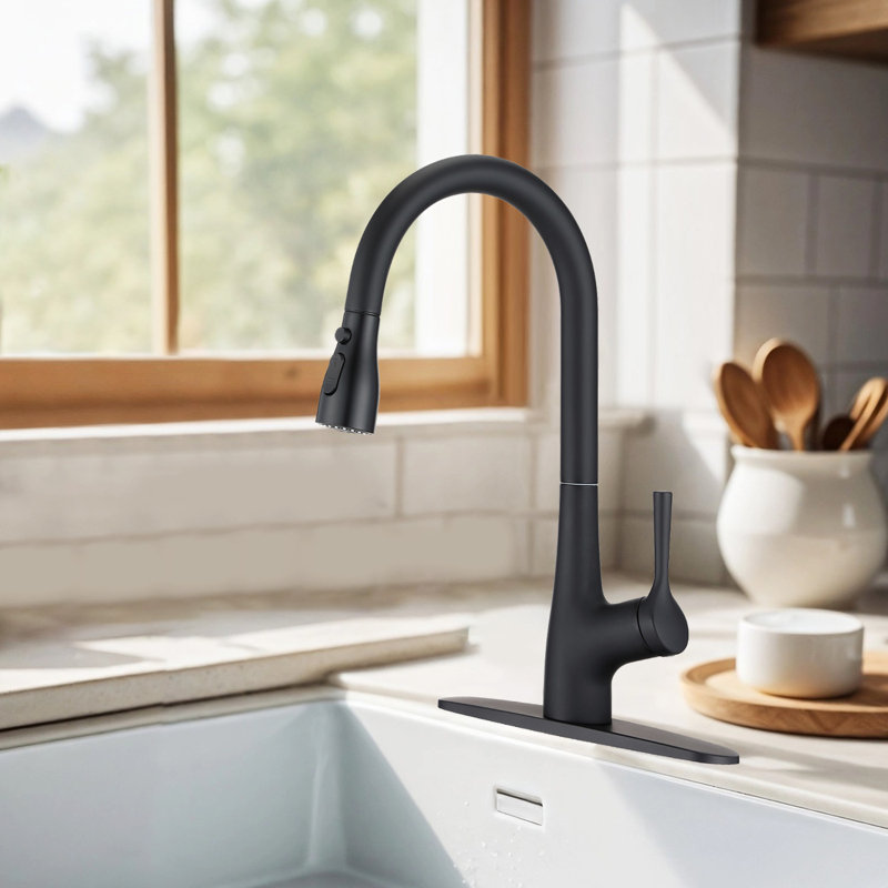 Robinet de cuisine à poignée simple avec plaque de base Topcraft, Noir mat