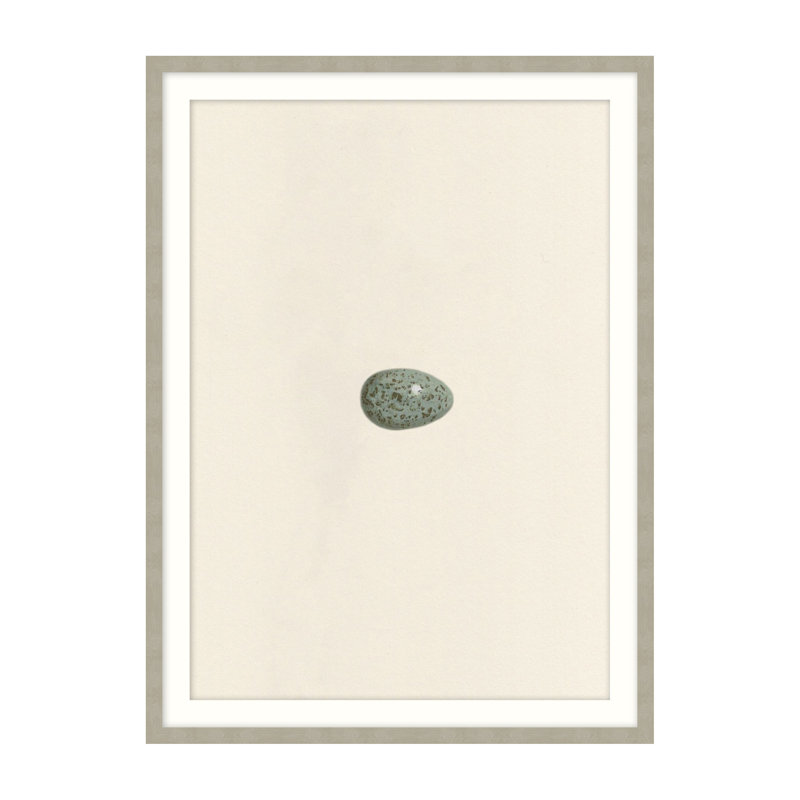 Unhatched 5 Illustration by Studio L57 Nouvelle, 15" H x 12" W