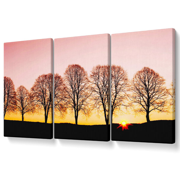 Ebern Designs Beech Trees At Sunrise - 3 Piece Wrapped Canvas Print ...