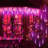 LED Icicle Lights