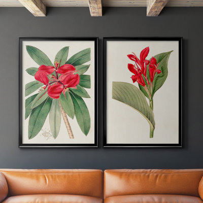 " Flora Of The Tropics III " 2 - Pieces