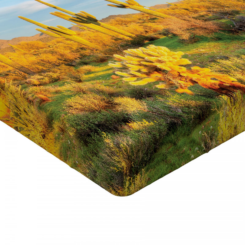 Drap-housse en microfibre Saguaro, Drap-housse de taille double