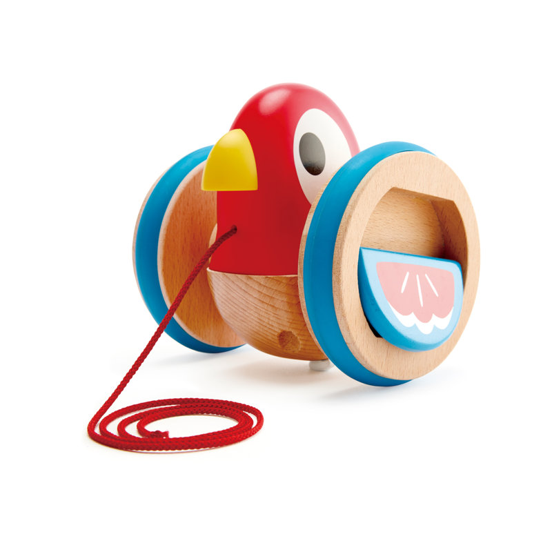 Bird Pull-Along Toddler Toy