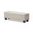 Mariana Polyester Upholstered Storage Bench