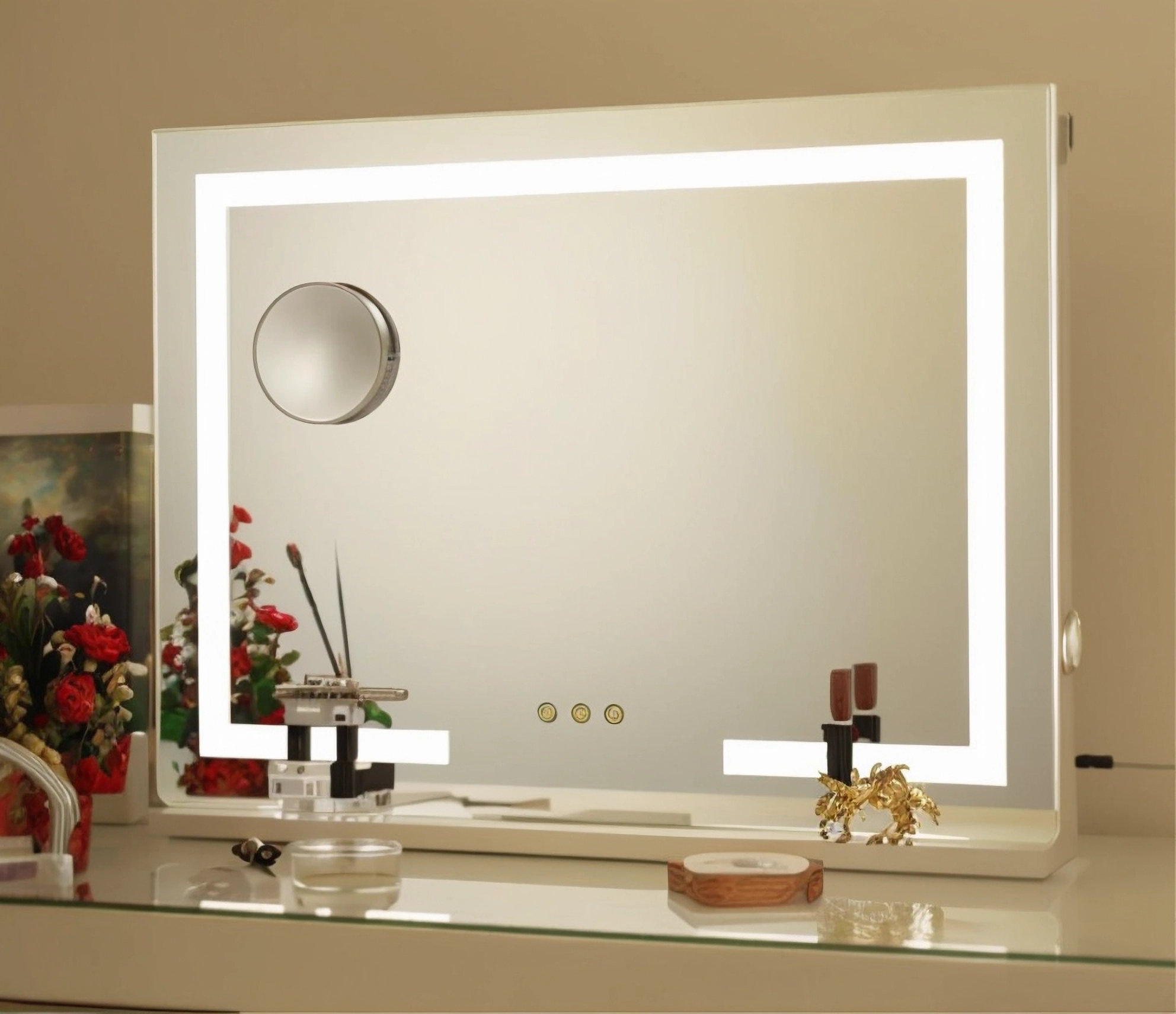 Mirror Home Rectangular Mirror with Adjustable Ceiling Mount - Ivy Home