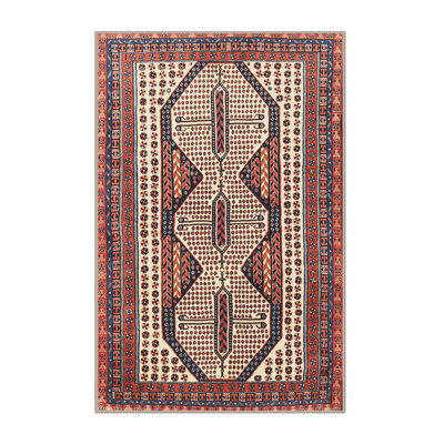 Oriental Indoor Rug