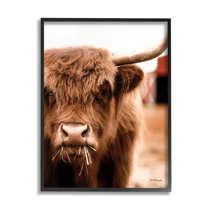 Vache en pâture, art giclée par Dakota Diener, Giclée encadrée noir minuit, H 14 po x l 11 po x P 1,5 po