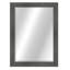 Resin Beveled Mirror-1689426112-1689426140