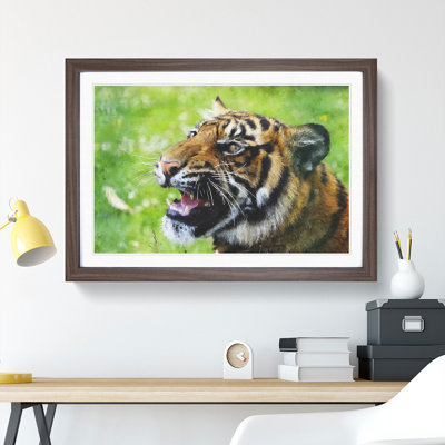 Tiger Vol.1 - Picture Frame Graphic Art