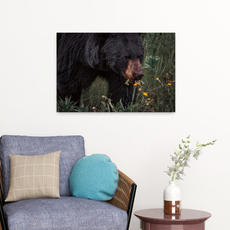 Contemporary Art Contemporary Bear Portrait Art by Nathan Larson - Wrapped Canvas Print, 40.64 cm H x 60.96 cm W