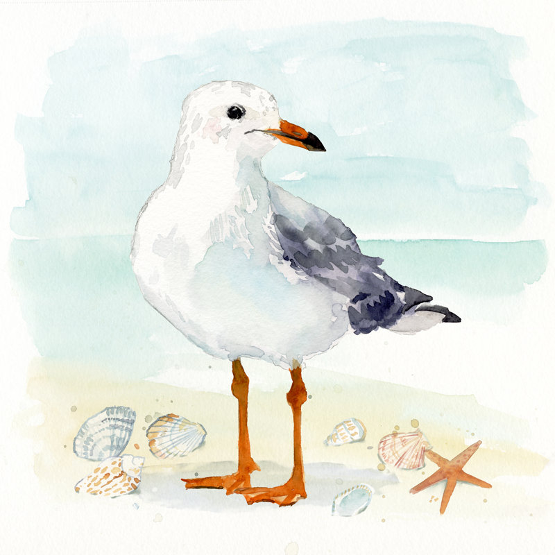 «Sandy The Seagull I» sur toile par Victoria Barnes, H 12 po x l 12 po