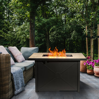 Parthenia Outdoor Propane Gas Steel Fire Pit Table