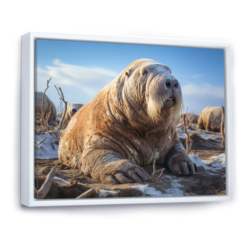 Morse toundra très grand - Reproduction d'art mural animaux, H 24 po x l 32 po x P 1 po, Cadre flottant blanc