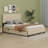 Seekha Upholstered Panel Headboard Design Bed with Drawers-616866497