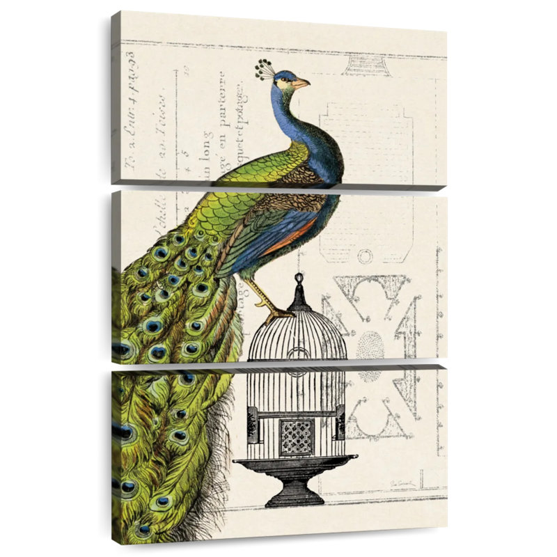 Cage à oiseaux Brampt Peacock I