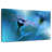 Harnek Beyond The Visible-108130493