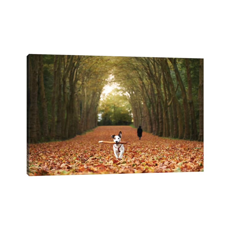 Jack 1 Piece Wrapped Canvas Wall Art, 66.04 cm H x 45.72 cm W x 3.175 cm D