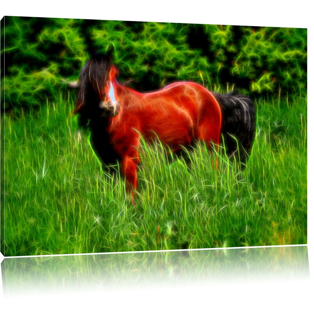 Leinwandbild Schönes Pferd auf Wiese