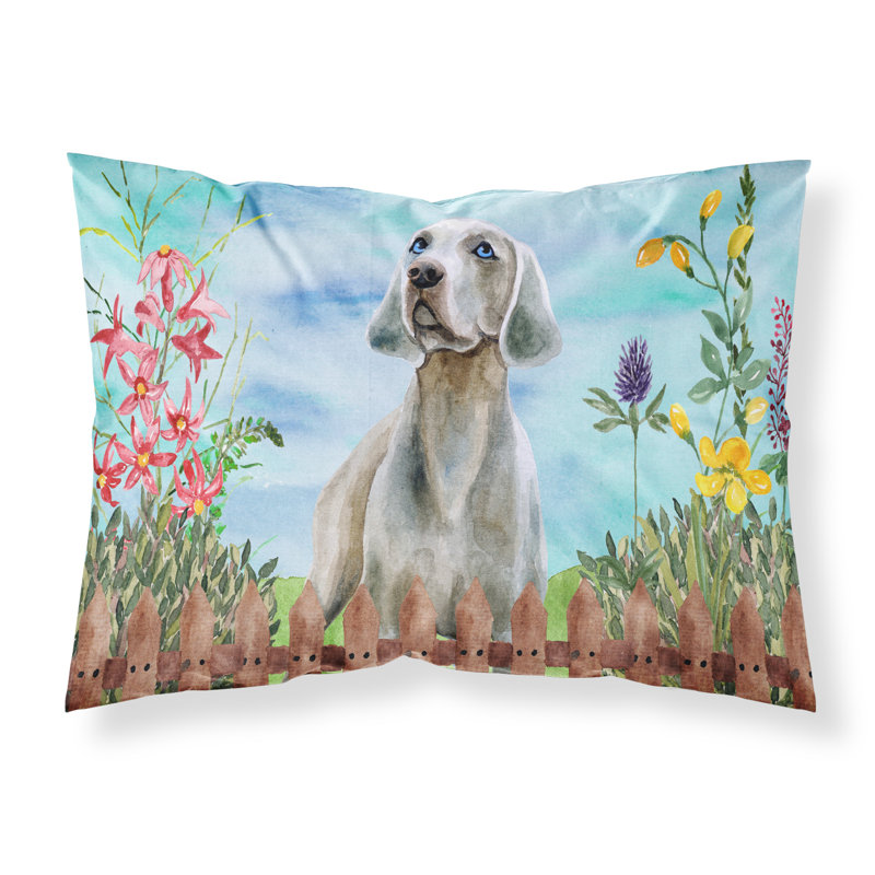 Taie d’oreiller spring, Weimaraner