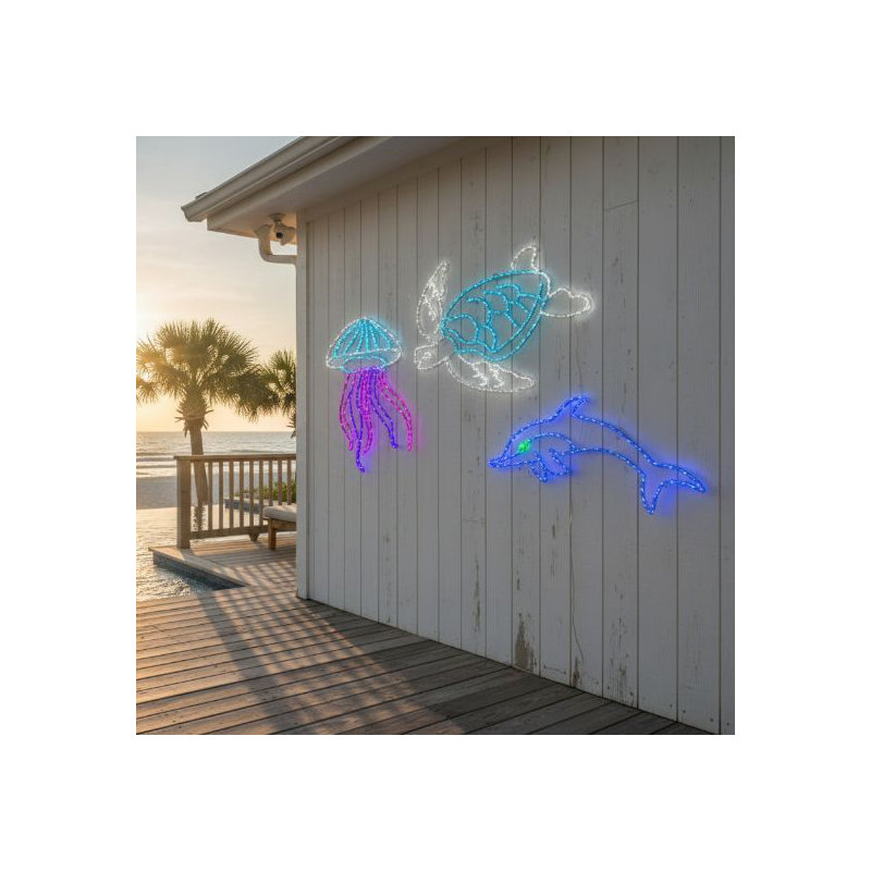 2D Dolphin Sign