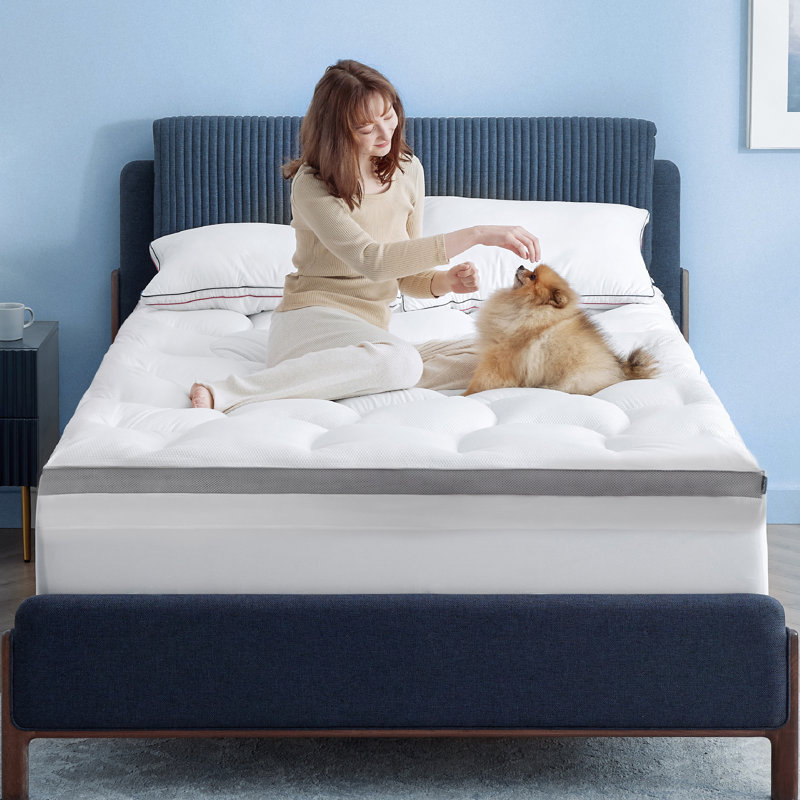 Bedsure 4 Inch Memory Foam Mattress Topper, Queen