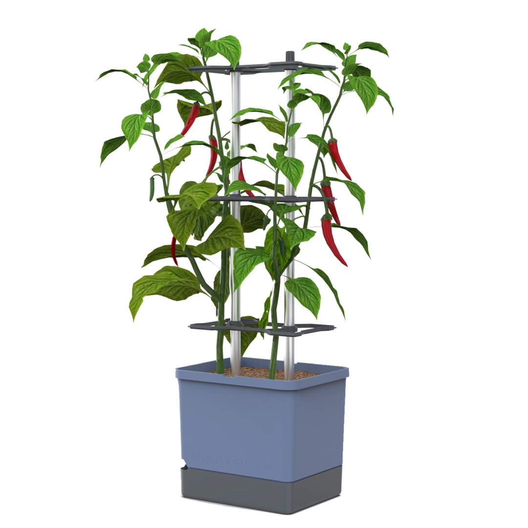 Gusta Garden Blue Charly Chilli Pot With Water Tank And Climbing System - Image 3