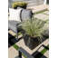 Pure Series Nobleton Planter-20733623-53236034-20544250