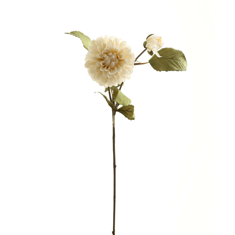 Dahlia Arrangement