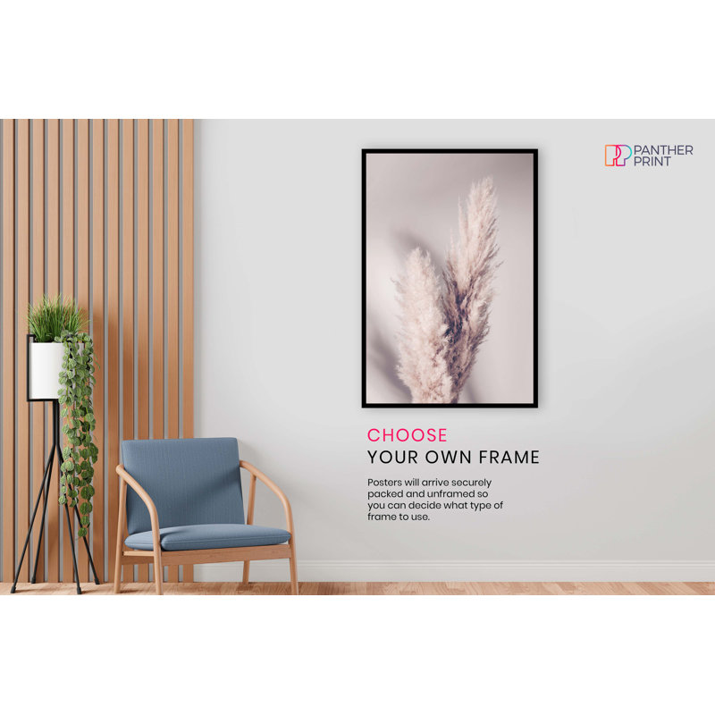 Dried Pampas Grass And Its Shadow - No Frame Print, 61cm H x 41cm W