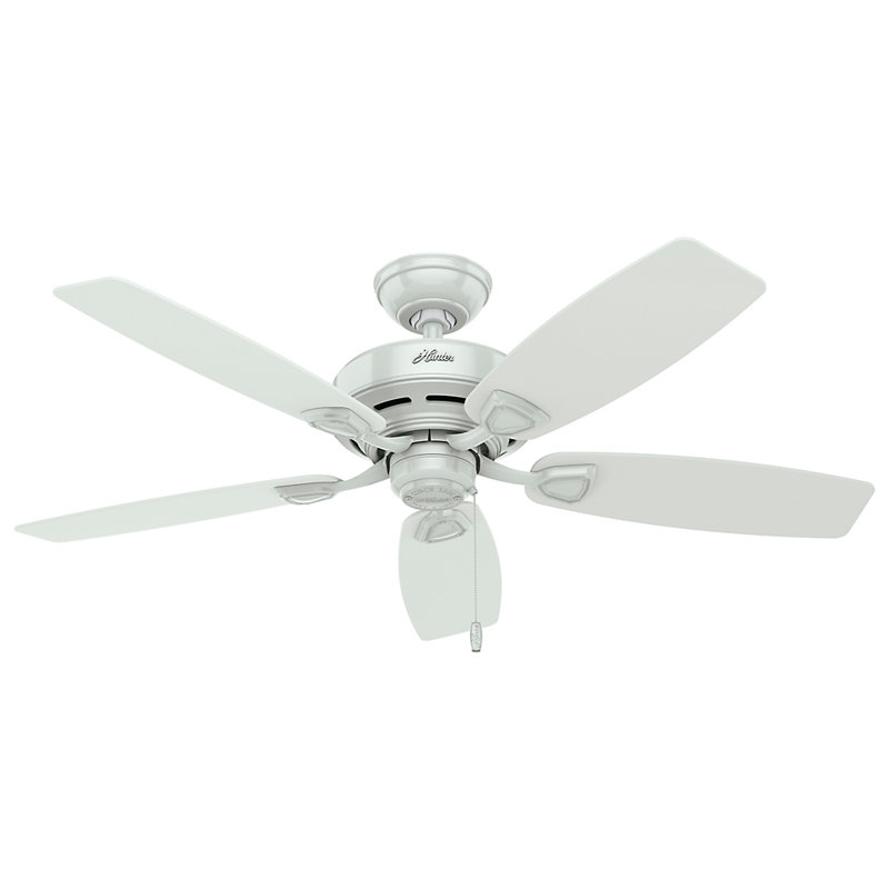 48" Sea Wind 5 - Blade Outdoor Standard Ceiling Fan with Pull Chain, White