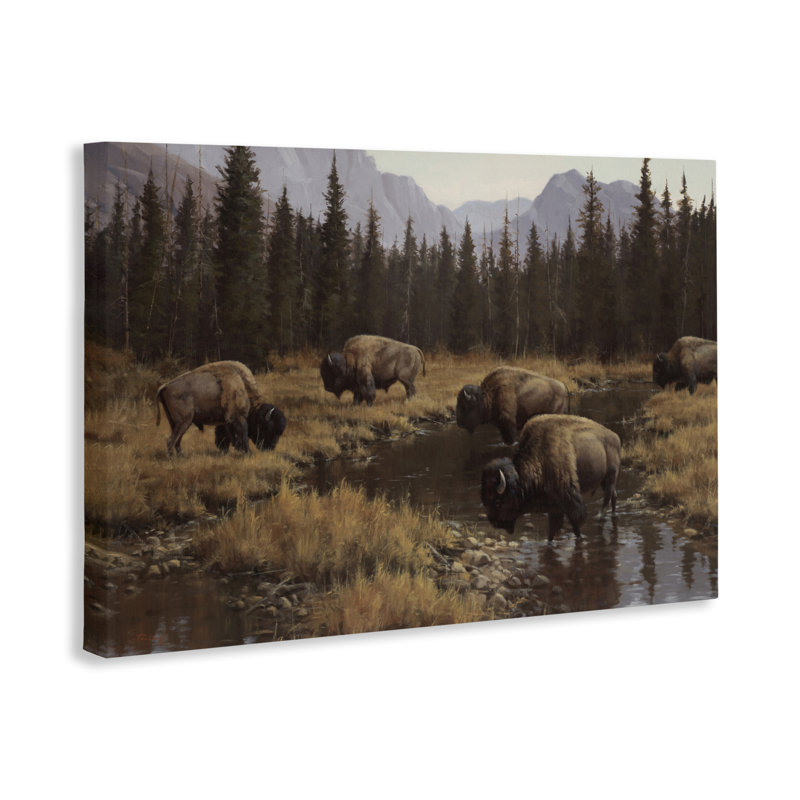 Art mural sur toile, "Wild Bison Grazing at Stream", par Paco Young, H 30 po x l 45 po