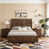 Walnut Brown