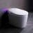 Tankless Smart Toilet With Bidet Built In, One-Piece, Auto Flush, Auto Open/Close,Heated Seat, Bubble Wash,Warm Water And Dry, Adjustable Temp,Remote Control Side Know