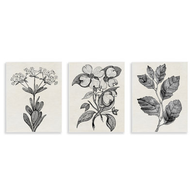 Plaque murale Classic Natural Botanicals, design par Karen Smith