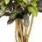 Croton Faux Bamboo Tree in Pot-23856924
